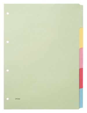 Budget tabbladen karton gekleurd 4-gaats