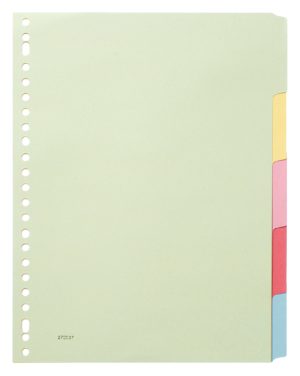 Budget tabbladen karton gekleurd 23-gaats